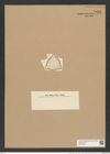 Triceratium amplexum A. Schm. (de-Toni-Nr.: Genus 140, Species 3919) Zeichnungen Sammlung Grunow Nr. 7409 (NHMW-BOT-W0376484)